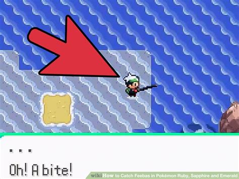 Feebas Calculator .